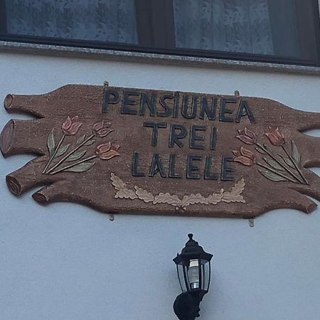 Pensiunea Trei Lalele モイセイ エクステリア 写真