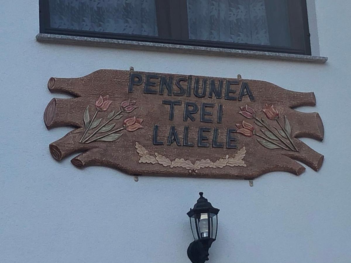 Pensiunea Trei Lalele モイセイ エクステリア 写真
